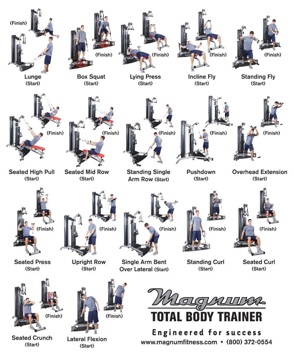Chart Home Exercise Program For Seniors Pdf Exercise Chart Pack Abs Workout At Home Pdf Dumbbell