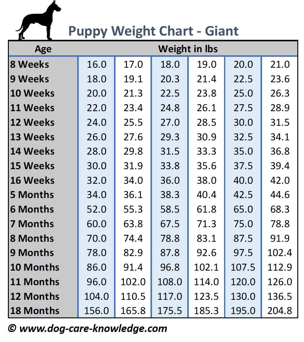 Cheap Medium Puppy Growth Chart 2026