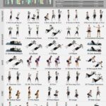 Dumbbell Workout Chart Exercise Poster Living Room Wall Decoration Bedroom Art Deco Frameless 20x30inches Walmart