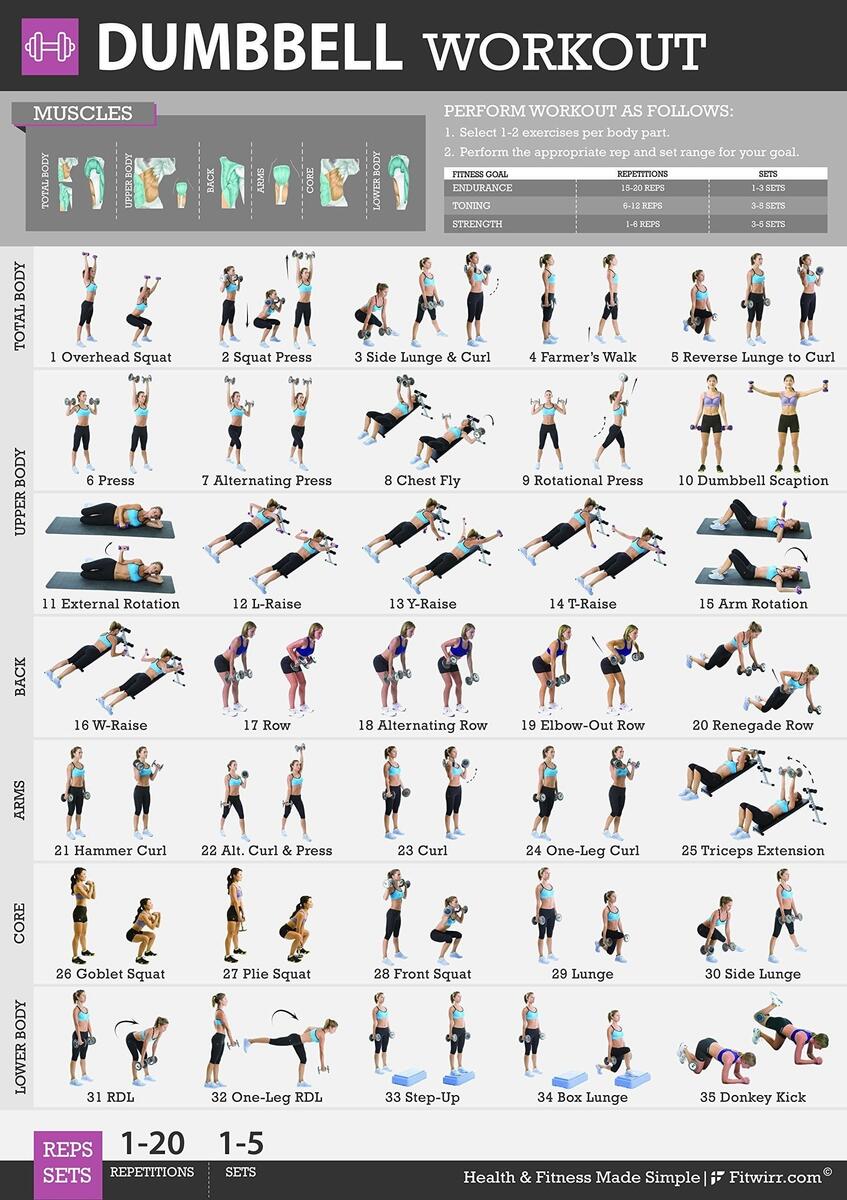 Dumbbell Workout Chart Exercise Poster Living Room Wall Decoration Bedroom Art Deco Frameless 20x30inches Walmart