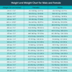 Height Weight Chart According To Age Ideal For Male Female