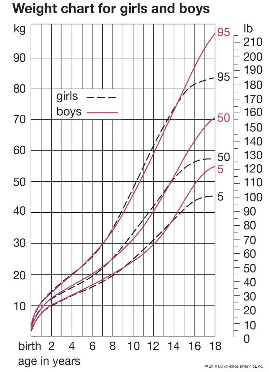 Human Development Boys Girls Height Britannica Human Development Boys Girls Height Britannica