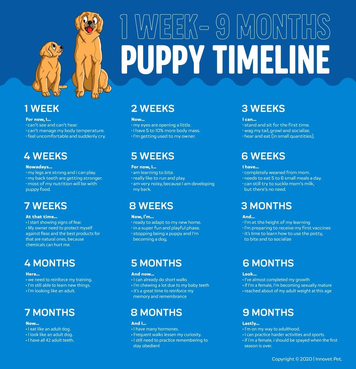 Puppy Growth Chart What Is Weeks In Dog Years Cheap How Long Is Two Weeks In