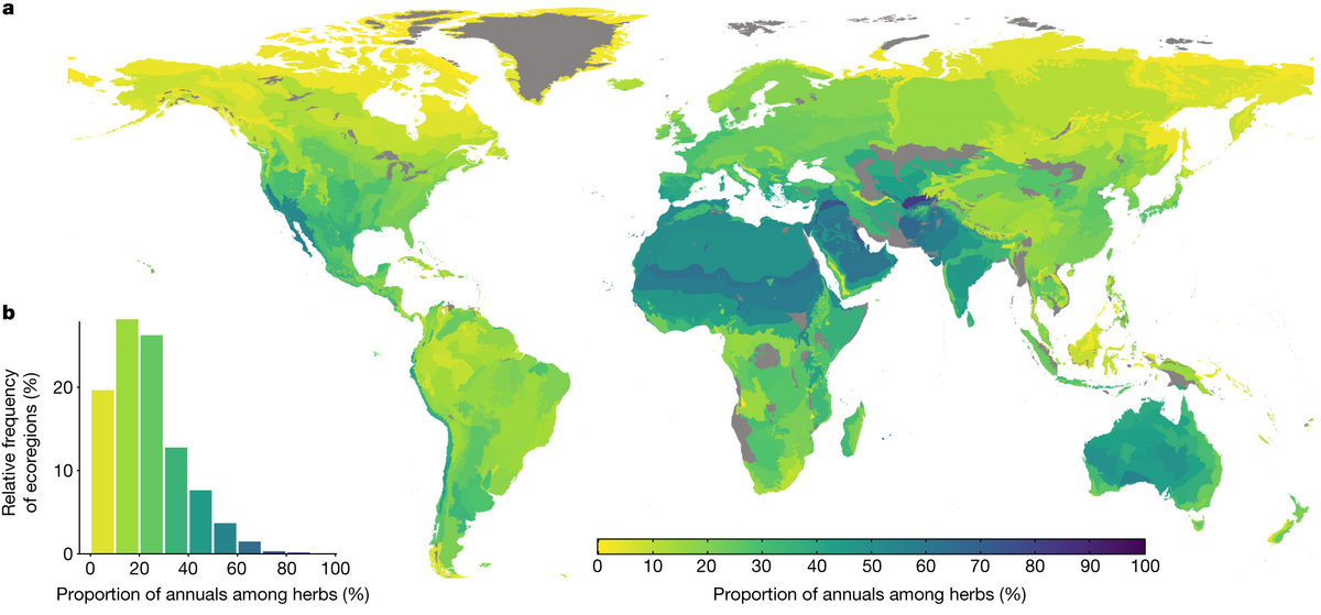 Revising The Global Biogeography Of Annual And Perennial Plants Nature