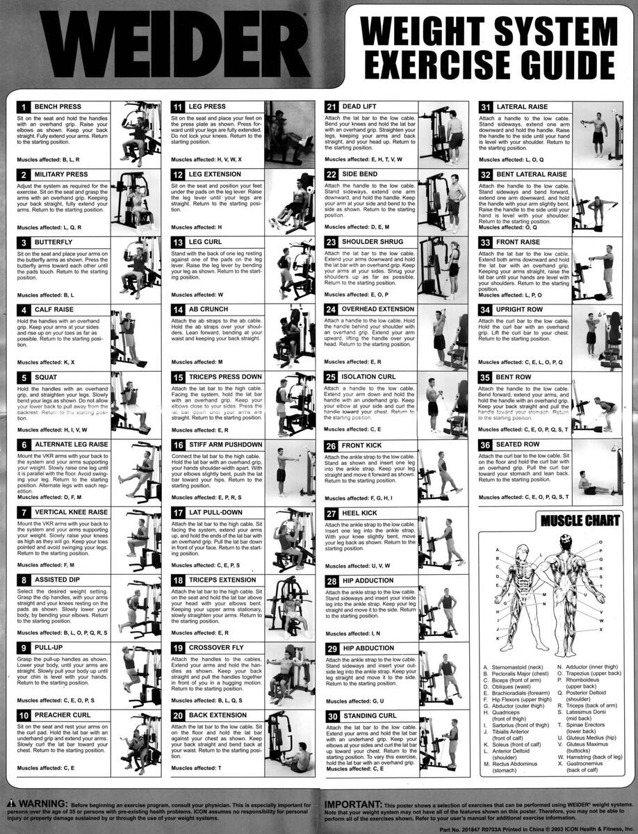 Weider Outlet Weider 500 Weight Bench Manualslib Weider Club 500 Home Gym Updated Sellers Weider Pro