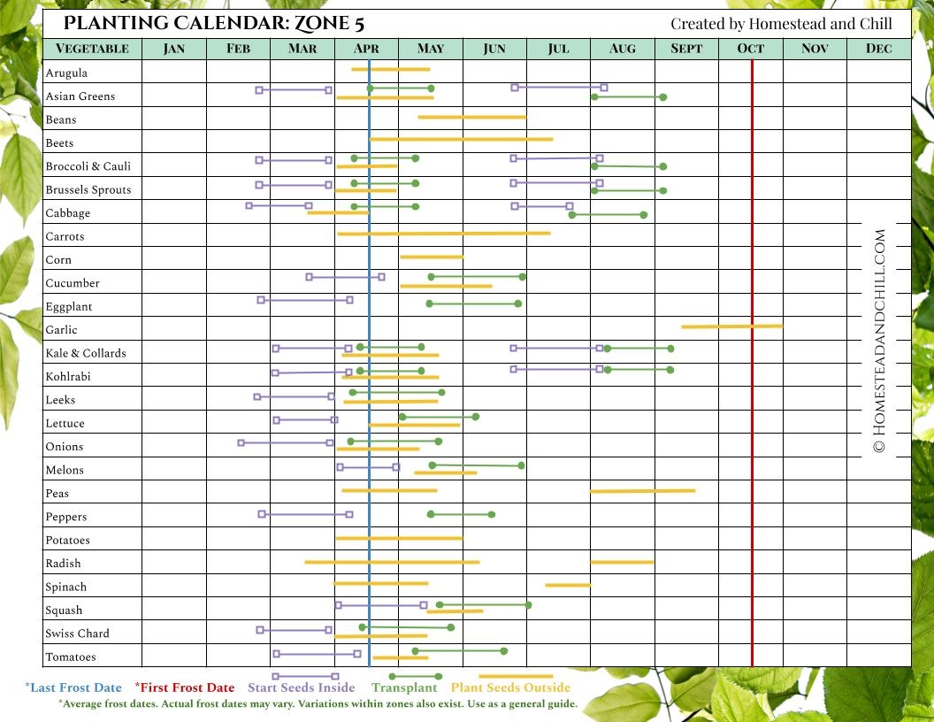When To Start Seeds Indoors Planting Calendars For Every Zone Homestead And Chill When To Start Seeds Indoors Easy Printable Sowing Plan