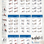 Workout Plan Total Gym X Total Gym Workout Plan Weider 2980 X Exercise Chart Printable